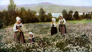 Blumenpflücken auf einer Wiese bei Leksand, Schweden, ca. 1923 von Unbekannt