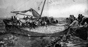 Sardinen, 1900