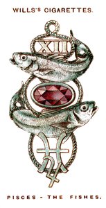 Fische, das Sternzeichen