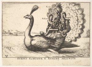 Tafel 14: Die Argonauten Eurytus, Echion und Aethalides von Unbekannt