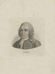 Porträt von Carl Linnaeus von Unbekannt