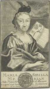 Porträt von Maria Sibylla Merian 1647-1717, 1755 von Unbekannt