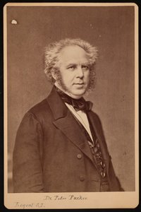 Porträt von Peter Parker 1804-1888, vor 1888 von Unbekannt