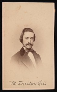 Porträt von Theodore Nicholas Gill 1837-1914, ca. 1860er Jahre von Unbekannt