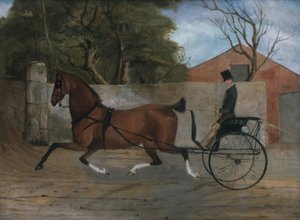 Porträt eines Gentlemans in einer Kutsche, ca. 1850-60