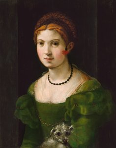 Porträt einer jungen Frau, 1530-1540