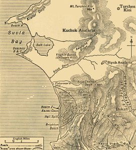 Positionen der ANZAC-Truppen auf der Halbinsel Gallipoli in der Türkei, Erster Weltkrieg, Juli 1915 von Unbekannt