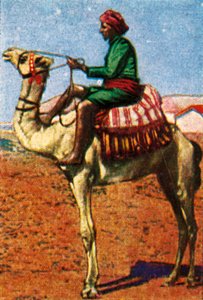 Postzustellung per Kamel, Arabien, um 1928