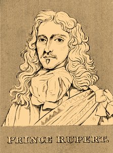 Prinz Rupert, 1619-1682, 1830 von Unbekannt