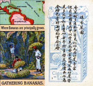Hauptanbaugebiete für Bananen, aus der Serie 