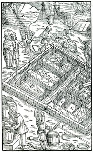 Salzgewinnung durch Verdunstung von Meerwasser in Salinen, 1556