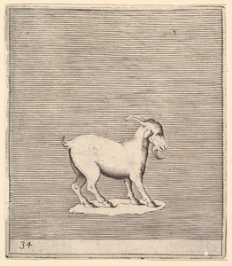 Widder, veröffentlicht ca. 1599-1622 von Unbekannt