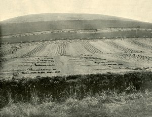 Wettbewerb für Mäher und Binder, Mount Blowhard, nahe Ballarat, 1901 von Unbekannt