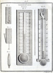 Reaumur-Thermometer von Unbekannt