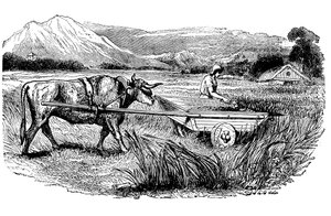 Rekonstruktion eines römischen Erntewagens, wie von Plinius beschrieben, Gravur von Unbekannt