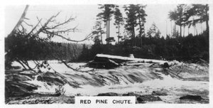 Red Pine Chute, Kanada, ca. 1920er Jahre von Unbekannt
