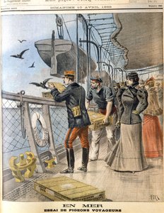 Freilassung französischer Armeebrieftauben an Bord des transatlantischen Liners La Bretagne, 1898