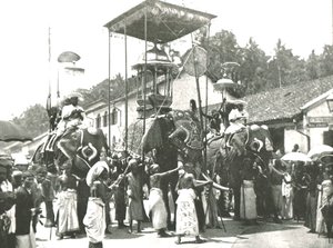 Religiöse Prozession, Colombo, Ceylon, 1895