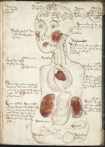 Darstellung einer aristotelischen Theorie des Bewusstseins aus: De corpore et anima von Unbekannt