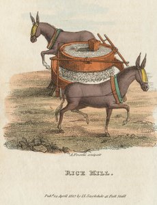 Reismühle, 1813 von Unbekannt