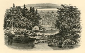 Flusslandschaft, Langdale, ca. 1890