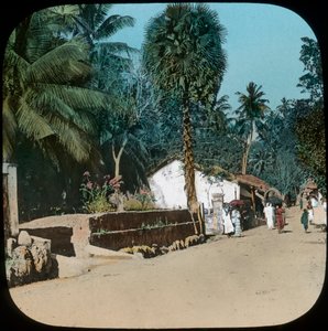 Straße von Colombo nach Galle, Colombo, Ceylon