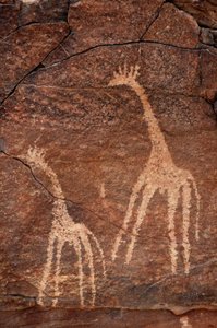 Felskunst, Vorgeschichte: Detail einer Gravur von Giraffen im Uweinat-Massiv, Ägypten. (Zeitraum von 8000 bis 3000 v. Chr.). Fotografie von Unbekannt