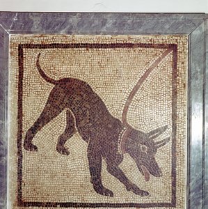 Römisches Mosaik eines Hundes, Cave Canem, Pompeji, Italien