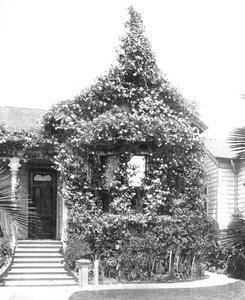 Rose Cottage, South Spring Street, Los Angeles, Kalifornien, USA, ca. 1900 von Unbekannt