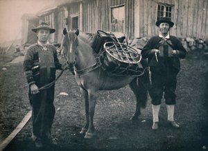 Saetersdalen Hochländer mit Packpferd, 1914 von Unbekannt