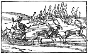 Samojede auf einem von Rentieren gezogenen Schlitten, spätes 16. - frühes 17. Jahrhundert von Unbekannt