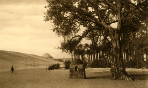 Saqqara - Die Stufenpyramide vom Sykomore aus gesehen, ca. 1918-1939 von Unbekannt