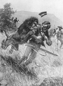 Der schottische Missionar und Entdecker David Livingstone wird von einem Löwen angegriffen, Afrika, 19. Jahrhundert von Unbekannt