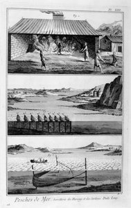 Meeresfischerei, Heringe und Sardinen, 1751-1777