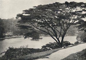 See, Tempel des Heiligen Zahnes und Bibliothek in Kandy, vom Viktoria-Drive nach Osten gesehen, 192