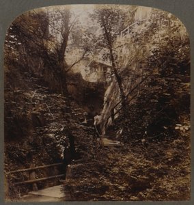 Shanklin Chine von weltweiter Berühmtheit, Isle of Wight, England, um 1910
