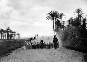 Schafe hüten in der Nähe von Kairo, Ägypten von Unbekannt