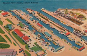 Shrimp Fleet Docks, Tampa, Florida, 1940er Jahre von Unbekannt