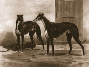 Simonian und Fullerton, ca. 1891, 1911