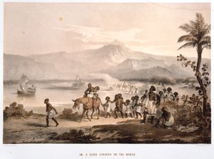 Sklavenkonvoi auf dem Marsch, 1852