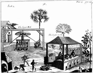 Sklavenarbeit auf einer Zuckerplantage in Westindien, 1725