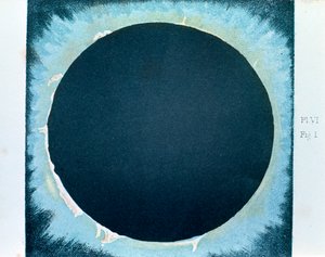 Sonnenkorona und Protuberanzen 1860-1870 von Unbekannt