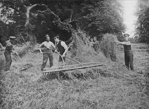Soldaten helfen den Bauern beim Heueinbringen, 1915 von Unbekannt