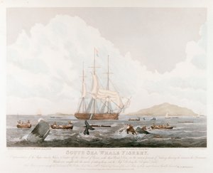 Südsee-Walfang, 1825 von Unbekannt