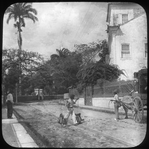 Straßenszene, Pernambuco, Brasilien, spätes 19. oder frühes 20. Jahrhundert von Unbekannt