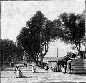 Straßenszene mit Pompeys Säule in der Ferne, Alexandria, Ägypten, 1900 von Unbekannt