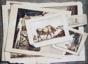 Studie von Zeichnungen und Drucken
