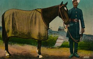 Syce, ca. 1910