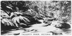 Taggerty River, Victoria, Australien von Unbekannt