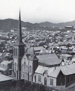 Te Aro, von der Terrasse, Wellington, spätes 19. - frühes 20. Jahrhundert von Unbekannt